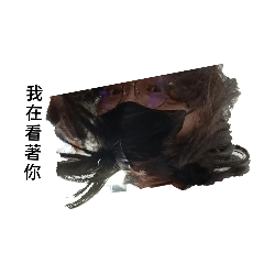 嘻嘻/不嘻嘻