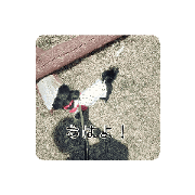 NANA_20240518153728