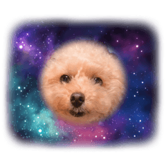 kamorin_20240518141257