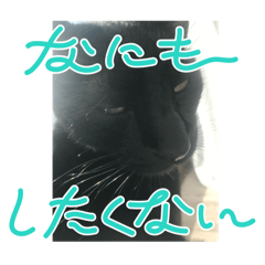 ToooooMee._20240517221024