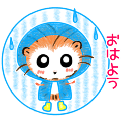 Hedgehog Futan rainy season