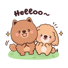 Pomeranian & Poodle