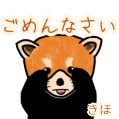 Kiho's lesser panda