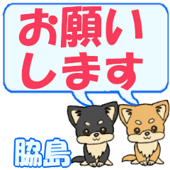 Wakijima's letters Chihuahua2