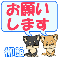 Yanagidate's letters Chihuahua2
