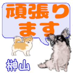 Sakakiyama's letters Chihuahua