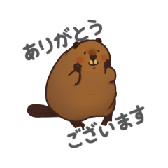 yurume-beaver
