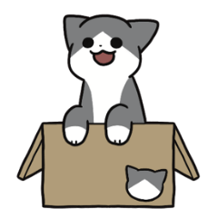 Gray bicolor cat sticker for Arranging