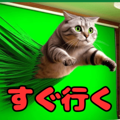 Cute cats in front of green screen
