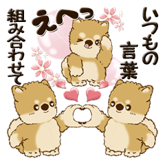 Shiba-inu (usual words)in combination