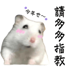 Yu_ hamster_4