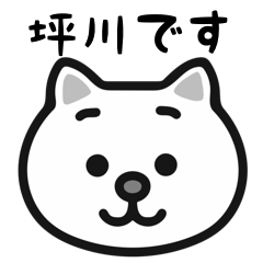 Tsubokawa white cats sticker