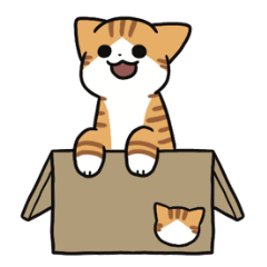 Red tabby white cat sticker Arranging