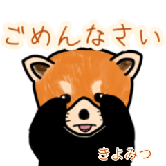Kiyomitsu's lesser panda
