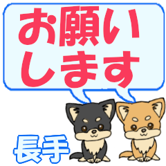 Nagate's letters Chihuahua2
