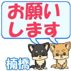 Kusubashi's letters Chihuahua2