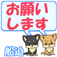 Funasako's letters Chihuahua2