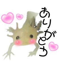 FUWA_20240518225815