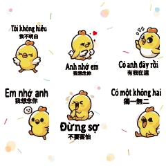 黃色小雞小鴨YELLOW Chick Duck Vietnam 2