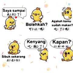 黃色小雞小鴨YELLOW ChickDuck Indonesia 2