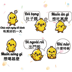 黃色小雞小鴨YELLOW Chick Duck Vietnam 4