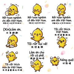 黃色小雞小鴨YELLOW Chick Duck Vietnam2-1