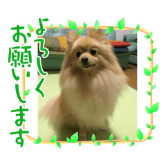 konatsu_20240519124200