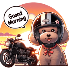 Poodle Rider Adventures 2