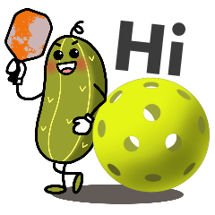 DIY your pickleball Thoughts!