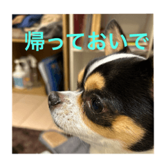 kenji.k_20240519145238