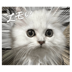 Fuwa_20240519180916