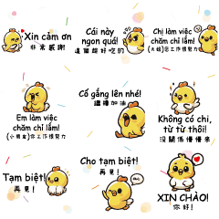 黃色小雞小鴨YELLOW Chick Duck Vietnam2-2