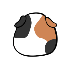 Faceless guinea pig