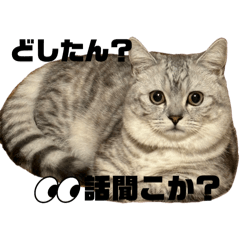 thata_20240519200626