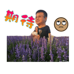 Xiaoyi's daily life animated stickers 1