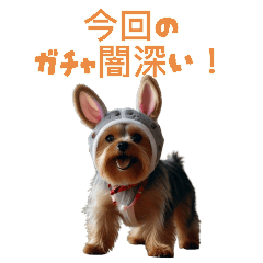 small dog with rabbit ears