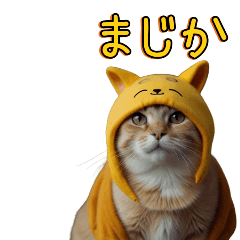 A cat dressed as a yellow bear