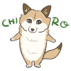 chiro_nuppu