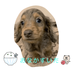 Baby dog_stamp
