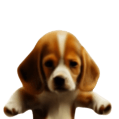 moving beagle dance meme