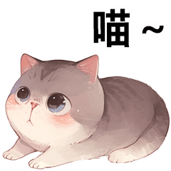 Fat gray cat-1