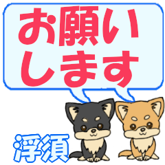 Ukisu's letters Chihuahua2