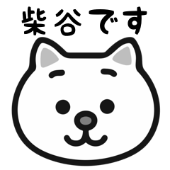 Shibatani white cats sticker
