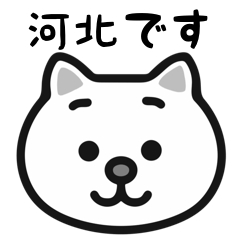Kahoku white cats sticker