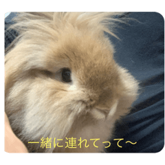 mironagi_20240520014031