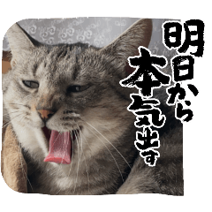 OMG_20240520175233