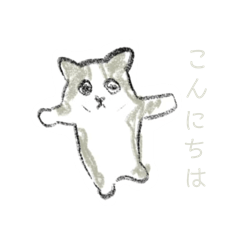 coni_20240518063321