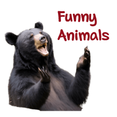 Funny Animals and Japanese words Sticker