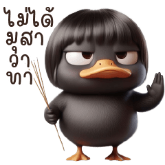 Black Duck Many Moods!!