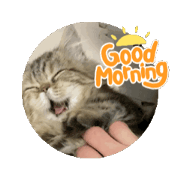 cheeeeeta_20240521100844